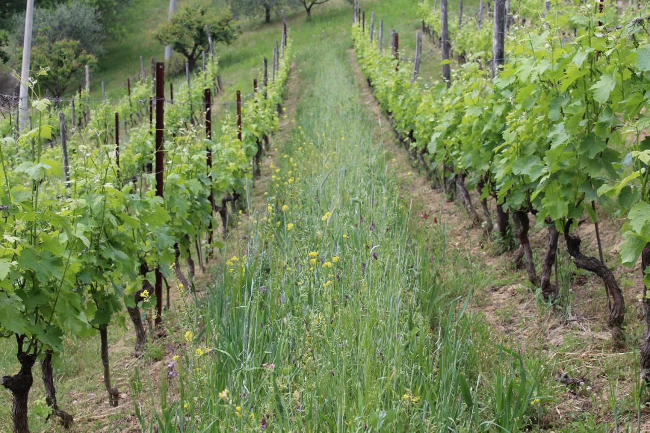 Agriturismo La Rovere Cossano Belbo Eksteriør billede