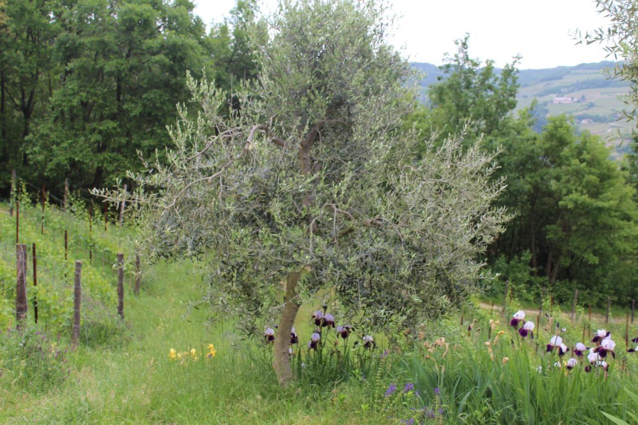 Agriturismo La Rovere Cossano Belbo Eksteriør billede
