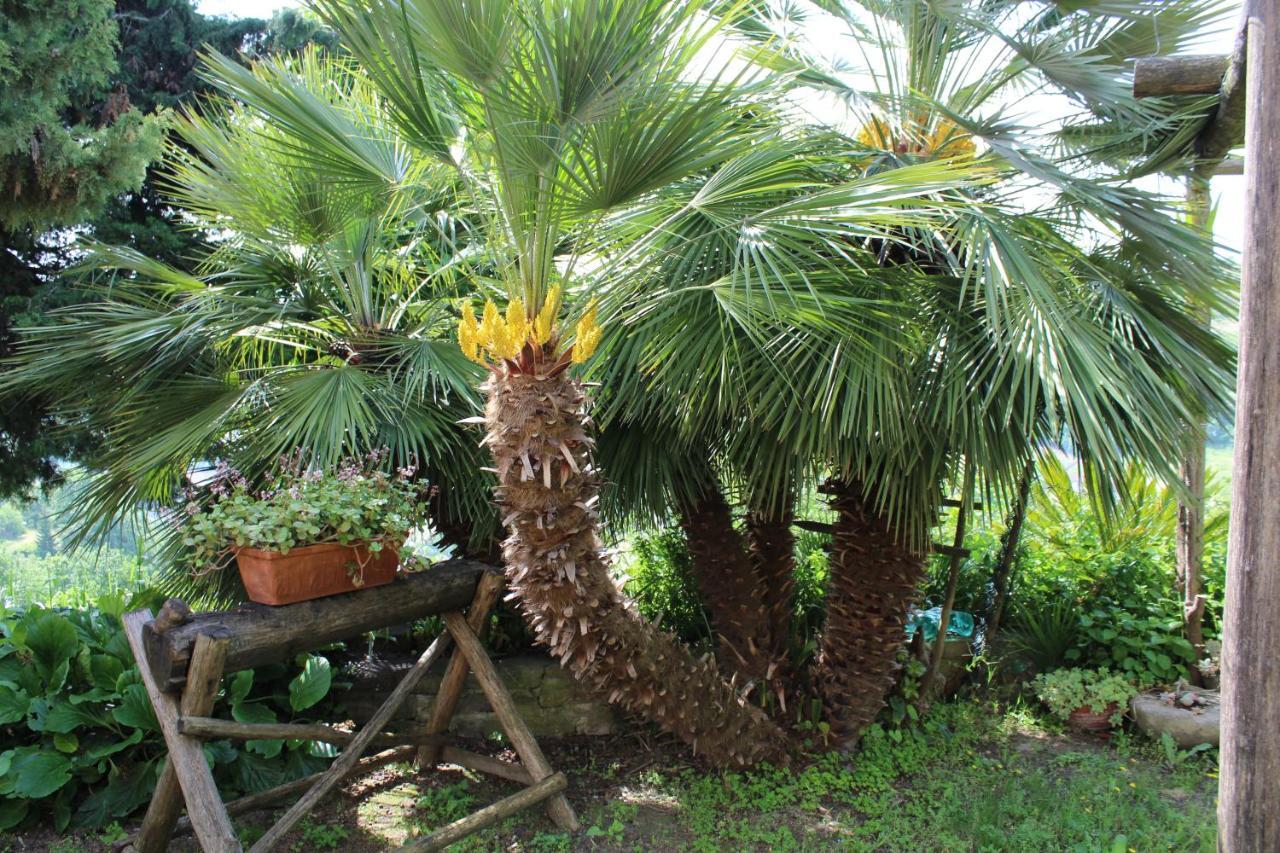 Agriturismo La Rovere Cossano Belbo Eksteriør billede